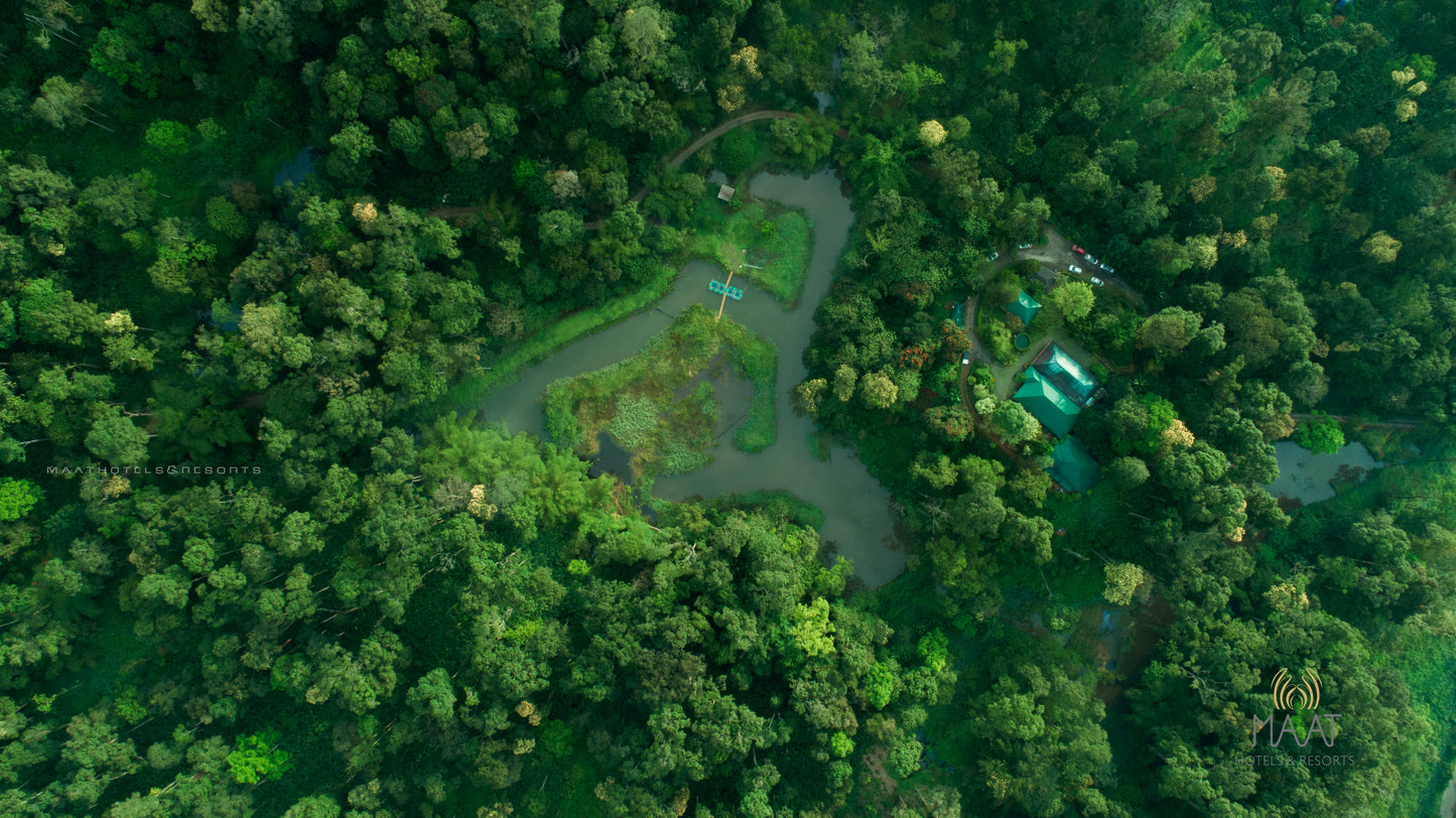 🌿 Munnar Tour Package for Couples | Gift a Romantic Hill Escape