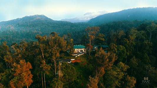 🌄 Coorg Tour Package for Couples | Gift a Romantic Hill Escape