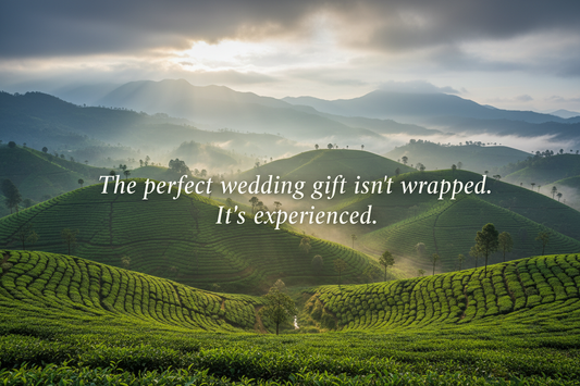 munnar aesthetic view and add caption as The perfect wedding gift isn’t wrapped. It’s experienced.